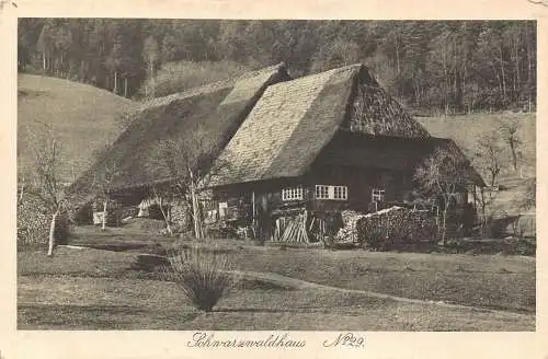 L303 Deutschland Schwarzwaldhaus Vintage Postkarte