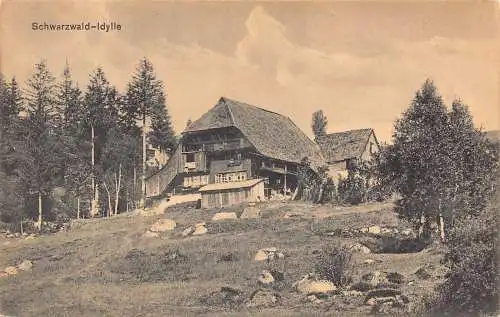 L303 Deutschland 1910 Bayern Schwarzwaldhaus Idylle Vintage Postkarte