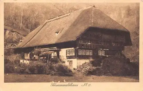 L303 Deutschland Schwarzwaldhaus Haus Vintage Postkarte