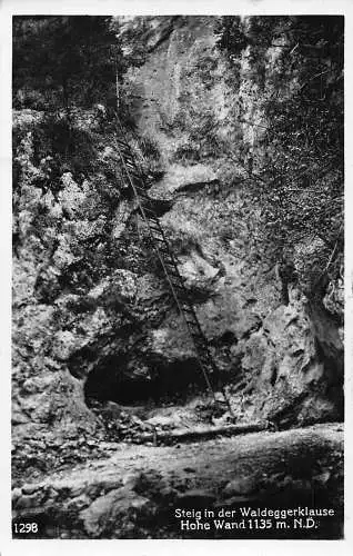 A237 Österreich Steig in der Waldeggerklause Hohe Wand Leiter RPPC Vintage Postkarte