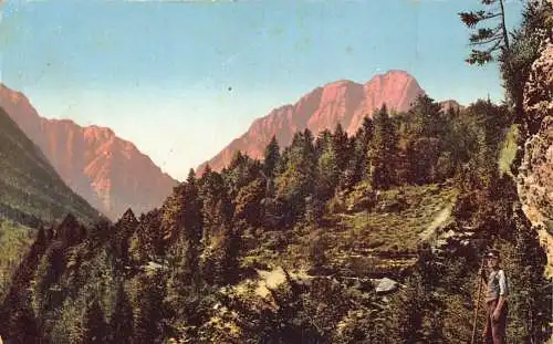 A238 Österreich Ansicht Vrata-Tale Mountain Vintage Postkarte