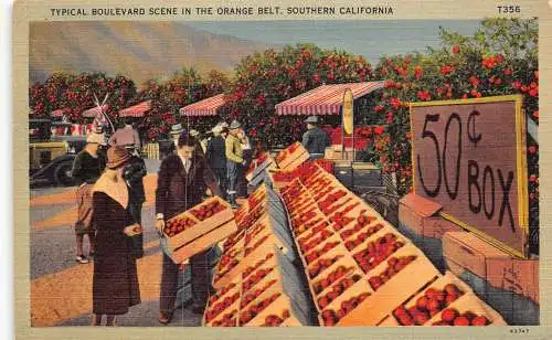 A862 US Typische Boulevard-Szene Orange Gürtel Kalifornien Orange Verkäufer Postkarte