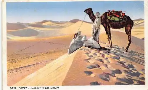 A864 Ägypten Aussichtspunkt in der Wüste Kamel Beduine Ethno Vintage Postkarte