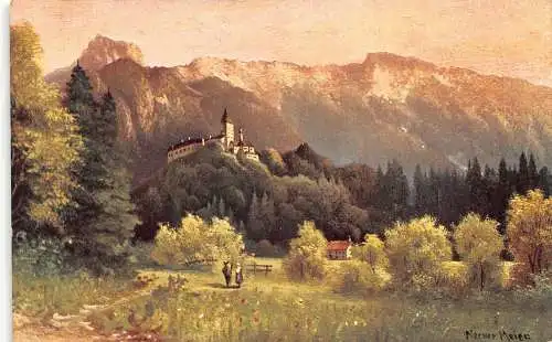 A863 Deutschland 1910 Schwarzwald Landschaftskunst Schloss Wald Postkarte