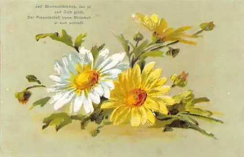 Freundschaft Grüße Gänseblümchen Blumen Stillleben geprägte Vintage Postkarte
