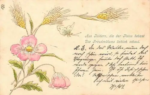 Frühlingsgrüße 1902 Mohnblumen Weizenohren Schmetterling geprägte Postkarte