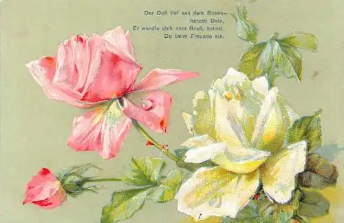 Freundschaft Grüße Rosen Blumen Stillleben geprägt Vintage Postkarte