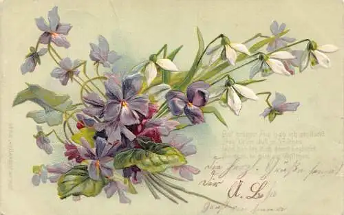 Gruß 1902 Schneeglöckchen und violette Blumen geprägte Postkarte