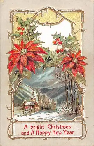 A054 Weihnachtsgrüße Winterlandschaft Mistel Weihnachtsstern Blumen Postkarte