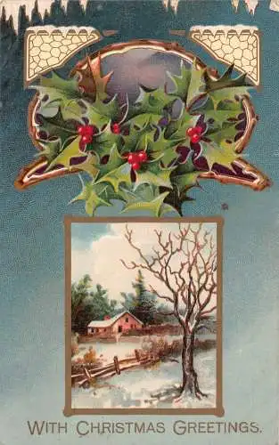 A055 Weihnachtsgrüße 1908 Mistel Eiszapfen Winterlandschaften Haus Postkarte