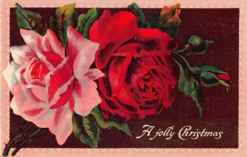 A053 A Jolly Christmas greetings rosa Rand Rosen Blumen Vintage Postkarte