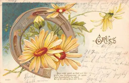Jugendstil 1903 Glücksgrüße Gänseblümchen Blumen Hufeisen Prägepostkarte