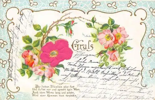 Frühlingsgrüße 1903 Gedicht Seide Wildrose geprägte Postkarte