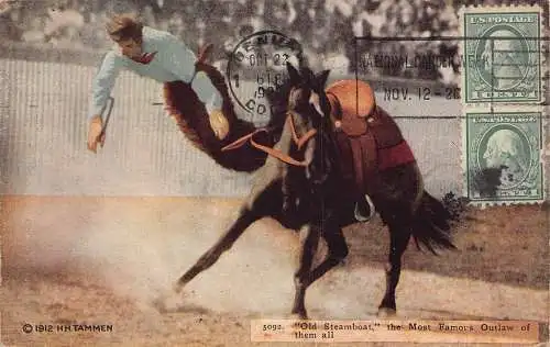 L137 US 1922 Old Steamboat the Famous Outlaw Horse throws man vintage postkarte