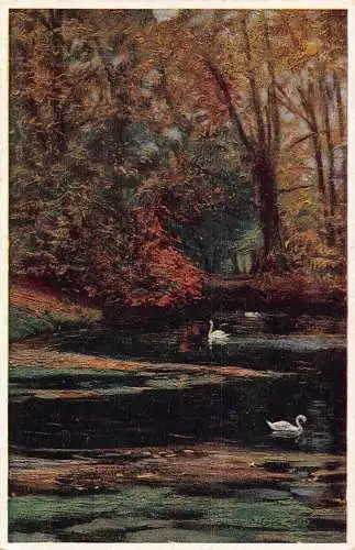 Natur Schwäne am Teich im grünen Wald Kunst Vintage Postkarte