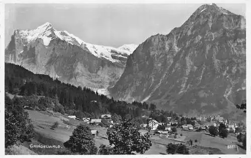 C007 Schweiz, Grindelwald Vintage Postkarte