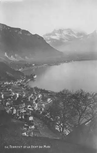 C008 Schweiz, Territet et la dent du midi vintage Postkarte
