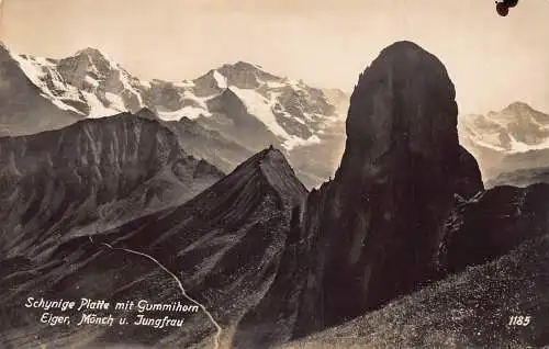 C008 Schweiz, Eiger, Mönch u. Jungfrau, Schynige Platte Vintage Postkarte