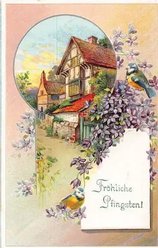 Pfingstgrüße Veilchen Blumen Vögel Haus Landschaft Prägepostkarte