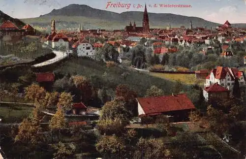 A060 Deutschland 1915 Freiburg i Br Wintererstraße Straße 1. Weltkrieg Feldpostkarte