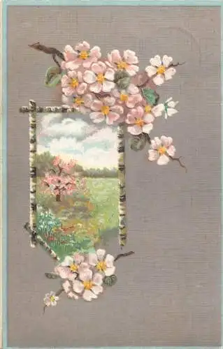 Passepartout 1912 Frühling Leben Natur Blüte Baum Blumen Prägepostkarte
