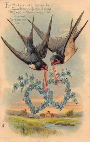 Paar Schwalbenvögel fürsorglich Vergissmeinnicht Herzen 1909 geprägte Postkarte