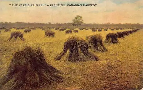 C006 Kanada, Eine reichliche kanadische Ernte Vintage Postkarte