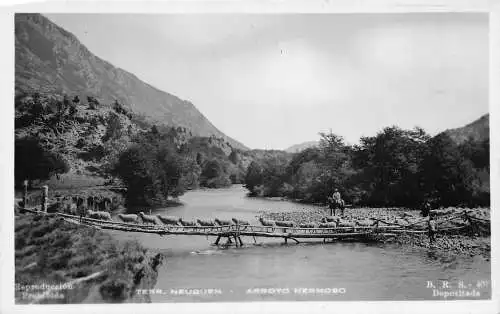 A877 Argentinien Terr Neuquen Arroyo Hermoso Schafe überqueren Brücke RPPC Postkarte