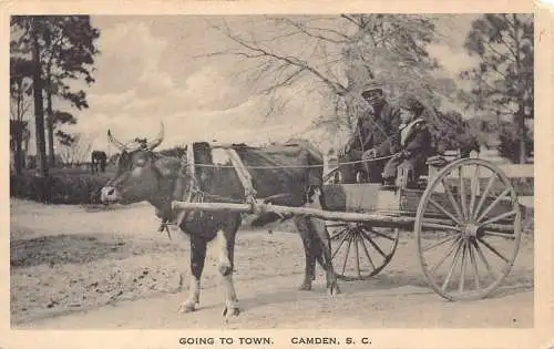 A875 US Camden South Carolina Going to Town Ox Cart Bauern Vintage Postkarte
