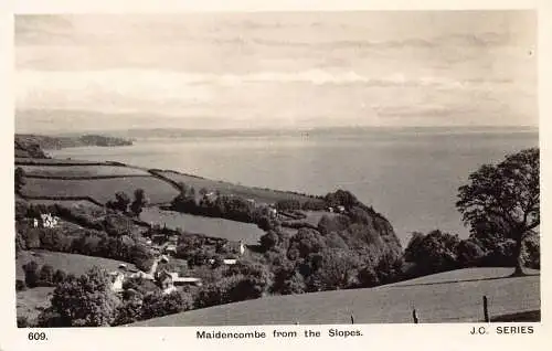 A885 England Maidencombe from the Slopes Vintage Postkarte