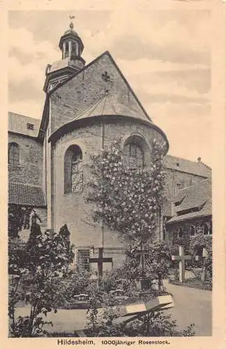 L165 Deutschland Hildesheimer Kirchhof Rosen Tausendjaehriger Postkarte