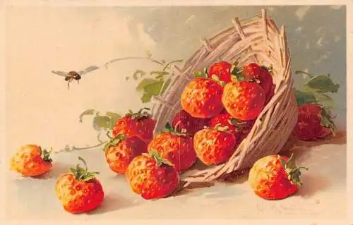 L175 Still Art Erdbeeren Früchte Fliege signiert Christine Klein Litho Postkarte