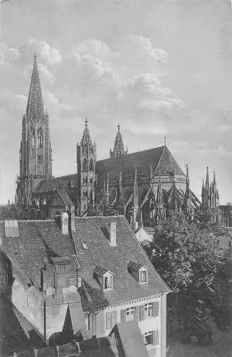 L165 Deutschland Freiburg im Breisgau Münster Dom Vintage Postkarte