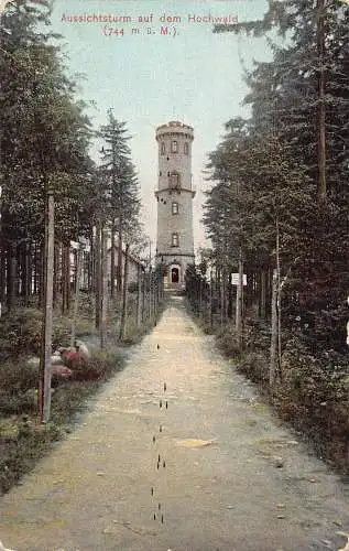 A063 Deutschland 1911 Aussichtsturm Turm auf dem Hochwald Vintage Postkarte