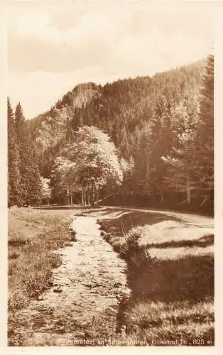 A063 Deutschland 1936 Raeurberstein Silbergraben Obernhof Flusswald Postkarte