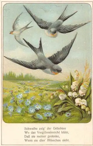 Frühlingslandschaft Schwalbe Vögel Maiglöckchen Gänseblümchen Blume geprägte Postkarte