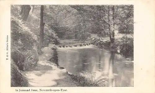 A884 England Newcastle-upon-Tyne Jesmond Dene Vintage Postkarte
