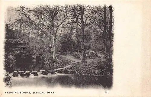A884 England Stepping Stones Jesmond Dene Vintage Postkarte