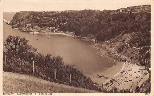 A883 England Babbacombe und Oddicombe Torquay Vintage Postkarte
