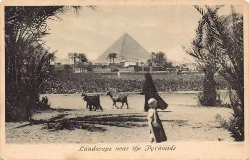 A881 Ägypten Landschaft bei Pyramiden Ureinwohnerin mit Ziegen 1908 Postkarte