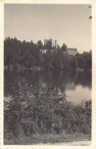 L308 Deutschland Schloss Schloss Hohenschwangau Vintage Postkarte