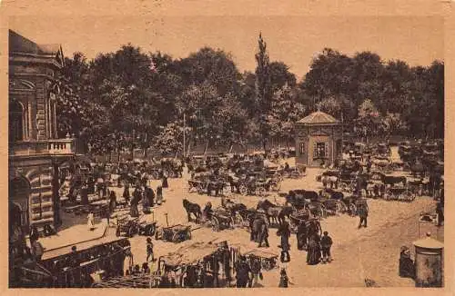 Slowenien 1929 Brod n S Wochenmarkt Marktplatz Kutschen Postkarte