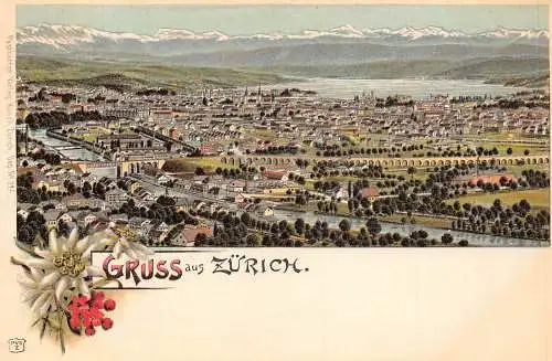 A894 Schweiz Gruss aus Zuerich Edelweiß Gesamtansicht Litho Postkarte