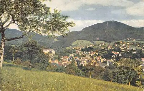 L318 Deutschland Baden-Baden Ansicht von Friesenhöhe Vintage Postkarte