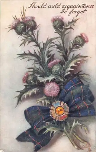 A056 Grüße 1908 Disteln schottische Blumen Tartanband Vintage Postkarte