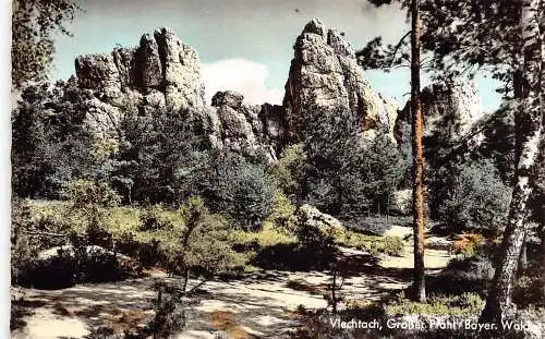 L310 Deutschland Viechtach Großer Pfahl Bayerischer Wald RPPC Vintage Postkarte