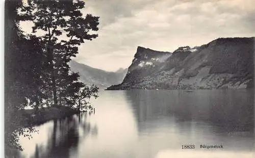 L309 Schweiz Buergenstock Klippen Vintage Postkarte