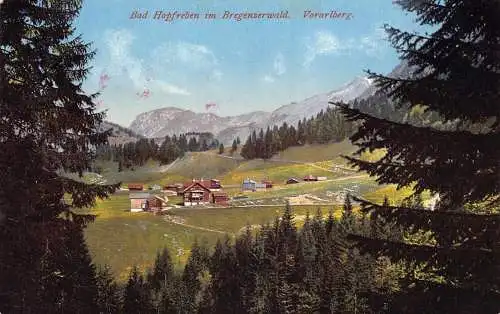 A073 Österreich Bad Hopfreben im Bregenzerwald Vorarlberger Wald Vintage Postkarte