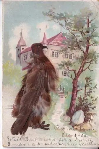 A067 Neuheit 1904 Vogel mit echten Federn Haus Baum Litho Vintage Postkarte