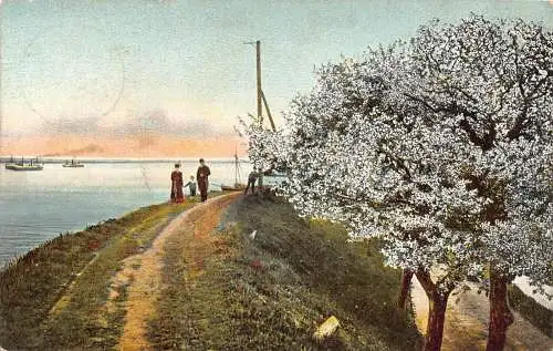 L169 Deutschland 1925 Kirschenland Blühender Baum Seepromenade Vintage Postkarte
